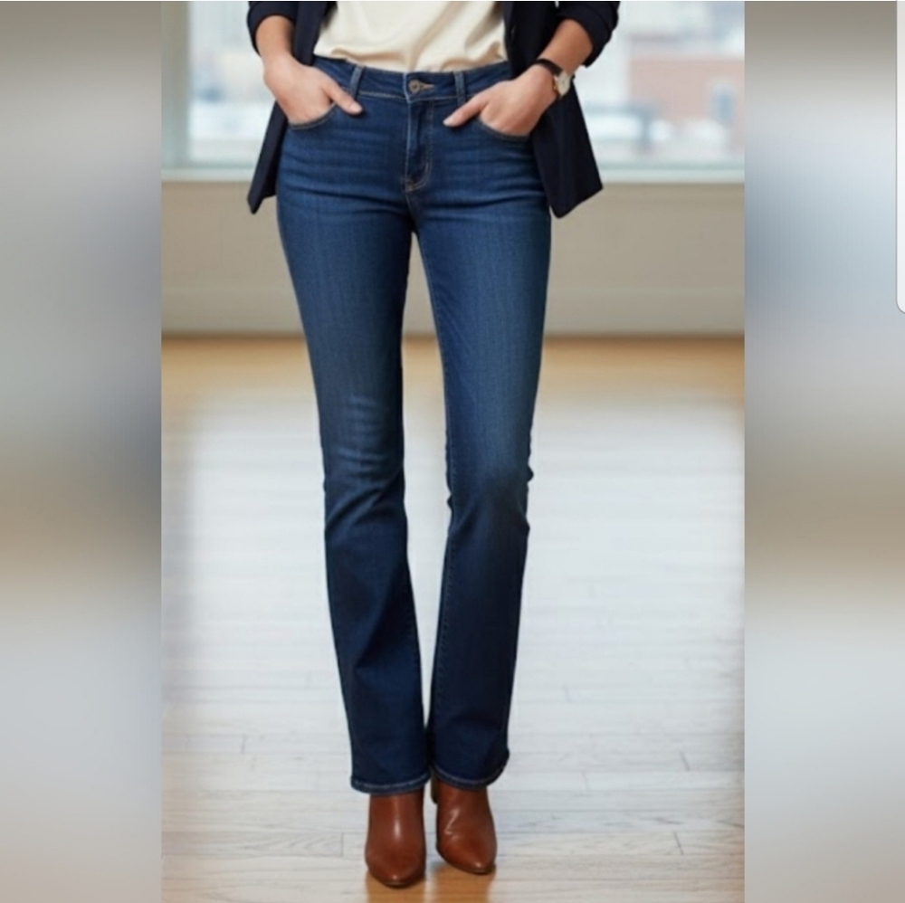 Hudson Bootcut jeans sz 28x33